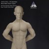 1/6 Jiaou Doll Male Figure Nude Seamless Body Royal Best LLC