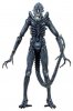 Alien Series 2 Blue Xenomorph Warrior 9 inch Tall Action Figure Neca