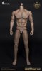 1/6 Scale Thick Chest and Broad Shoulder WB-AT012 World Box