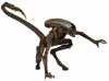 Alien Series 3 7" Inch Action Figure Aliens The Dog Alien by Neca