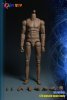 1/6 Scale Action Figure Muscle Body PT-MB001 Play Toy