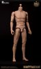 1/6 Narrow Shoulders Articulated Male Body WB-AT011 World Box