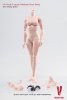 1/6 Scale Very Cool  1.0 Female Large Bust Body Version VCF-X01D