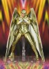 S.H Figuarts Wonder Woman Golden Armor (WW84) Tamashii Nations