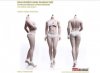 1/6 Pale Buxom Women Female Super-Flexible Seamless PL-MB2019-S29B