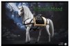 POPTOYS 1/6 Scale War Horse for Figures EX21-B