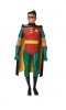 Batman The Adventures Continues Robin Figure by DC comics