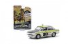1:64 Vintage Ad Cars Series 1 1969 Datsun 510 4-Door Sedan Greenlight