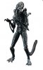 1:18 Scale Aliens Blue Alien Warrior PX Hiya Toys
