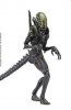 1:18 Scale AVP Grid Alien Figure PX Hiya Toys