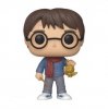 Pop! Disney Harry Potter Holiday Harry Vinyl Figure Funko