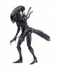 1:18 Scale AVPR Xeno Warrior PX Hiya Toys