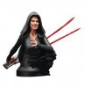  NYCC 2021 1/6 Star Wars EP9 Dark Rey Bust by Diamond Select