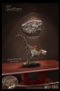 Wonders of the Wild Series Concavenator Deluxe Statue Star Ace 909237