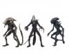 Alien vs Predator Movie Deco Alien 7 inch Set of 3 by Neca