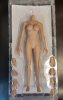 1/6 Female Seamless Body in Suntan/Large Bust Size JD-005  JIAOU DOLL 