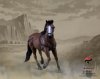 1/6 Scale Brown Horse for 12 inch Figures by 303 Toys