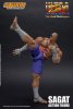 1/12 Street Fighter Sagat Action Figure Storm Collectibles