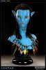 Avatar Neytiri Life Size Bust by Sideshow Collectibles