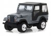 1:64 Anniversary Collection Series 6 1979 Jeep CJ-5 Silver Greenlight