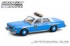 1:64 Hot Pursuit Series 37 1982 Plymouth Gran Fury NYPD Greenlight