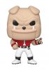 POP! College University of Georgia Hairy Dawg Vinyl Figure Funko