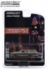 1:64 Hollywood Series 32 1979 Ford LTD Country Squire Greenlight