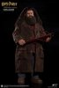 1/6 Harry Potter & the Sorcerer's Stone Rubeus Hagrid Normal SA-0020