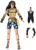 Dc Comics Multiverse Batman the Dark Knight Returns Wonder Woman