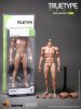 1/6 Scale Ttm21 Truetype Male Body - Regular Body by Hot Toys