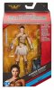 Dc Comics Multiverse Wonder Woman Diana of Themyscira Figure 6" Mattel