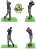 Tiger Woods Series 2