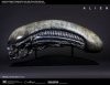 Xenomorph Life-Size Head Prop Replica 903191 Cool Props 