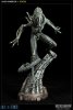 Alien Warrior Statue by Sideshow Collectibles