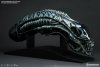 Aliens Warrior Blue Life-Size Head Prop Replica Sideshow 902728