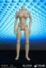 Asian Alpha Headless Large Bust Female Action Figure Body Triad Toys