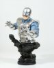 Avalanche 6 1/2" Mini Bust by Bowen Designs