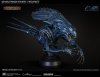 Alien Queen 1:3 Bust Maquette CoolProps