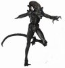 Aliens Series 5 7" Figure Black Genocide Warrior Neca