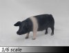  ZY Toys 1/6 Sixth Scale Pig Black Model B ZY-PG-B