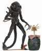 Alien Ultimate Aliens Warrior Brown Alien 7 inch Figure Neca