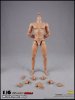 Coo Model 1/6 Scale Figure 2.0 Muscle Male Body CM-BD003