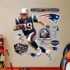 Fathead Danny Woodhead  New England Patriots NFL