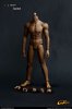 CMTOYS 1/6 Rubber Muscular Body HJ003 Dark