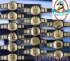 15 Belt Mega Deal Champion Belts for action figures