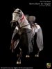 1/6 Sixth Scale War Horse Brown Horse for Templar ACIH02 Aci Toys