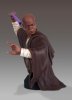 Star Wars Mace Windu Mini Bust PGM 2013 Gift Gentle Giant