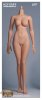 1/6 Scale Third-Generation Female Plump Body EDA-P01 Hot Stuff