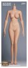 1/6 Scale Third-Generation Female Plump Body EDA-P04 Hot Stuff Used