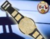 WWE Raging Bull Champion Belt for Wrestling Figures